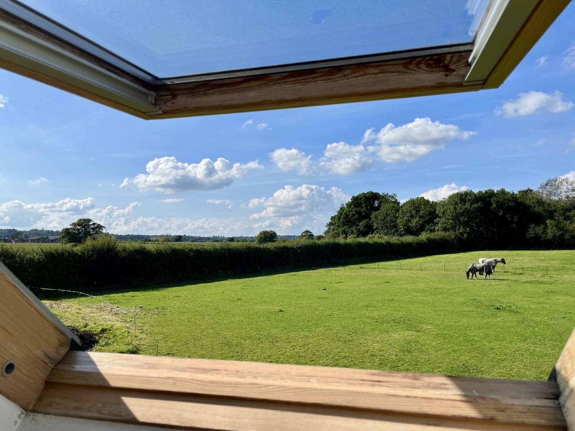 Priors Oak - A Cosy Studio With Countryside Views In Dorset Stalbridge Buitenkant foto